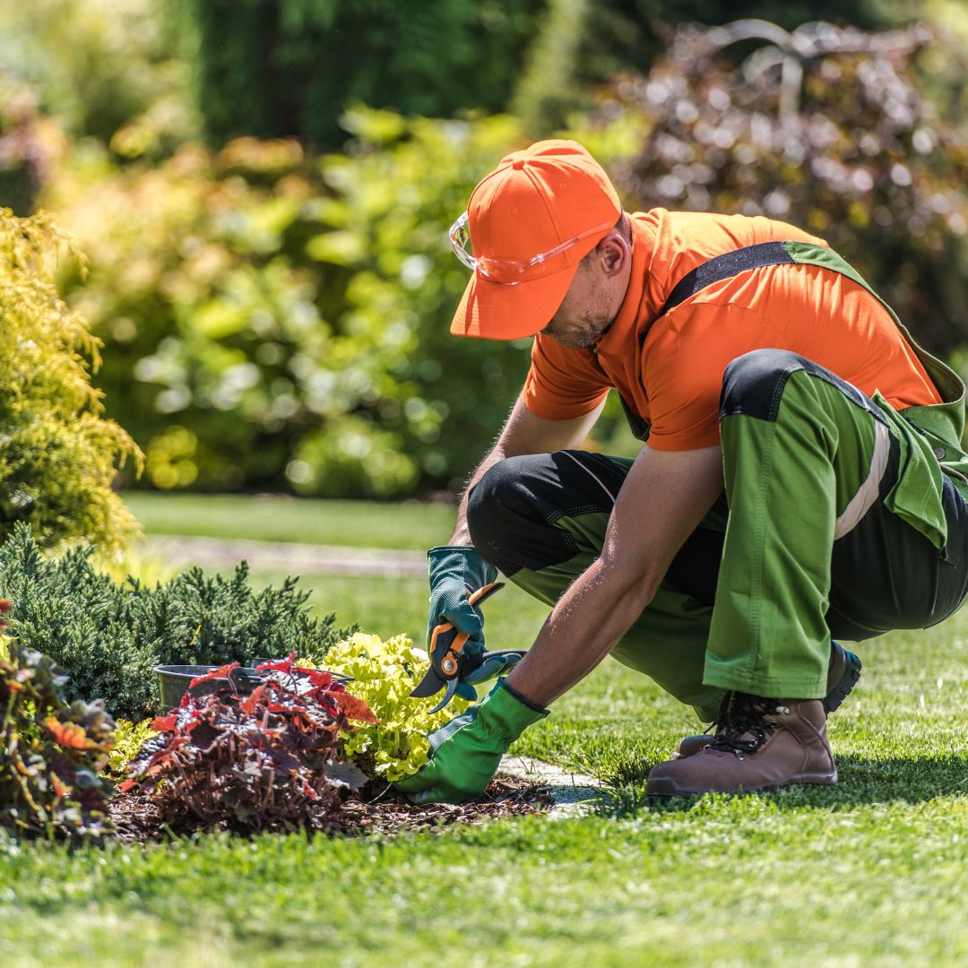 Tuinaanleg – Gespecialiseerde dienst voor de creatie van uw droomtuin
